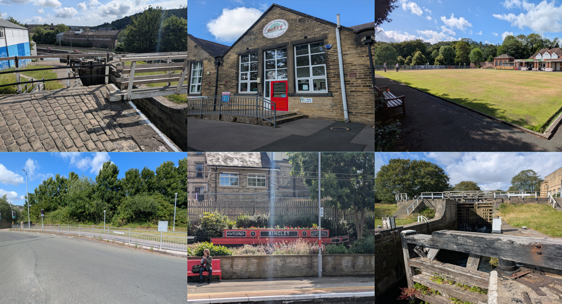 _images/bingley.png